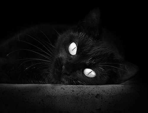 九游游戏中心官网-2017年季后赛：库里在对阵马刺的系列赛中，砍下39分，投中8记三分，率队晋级！